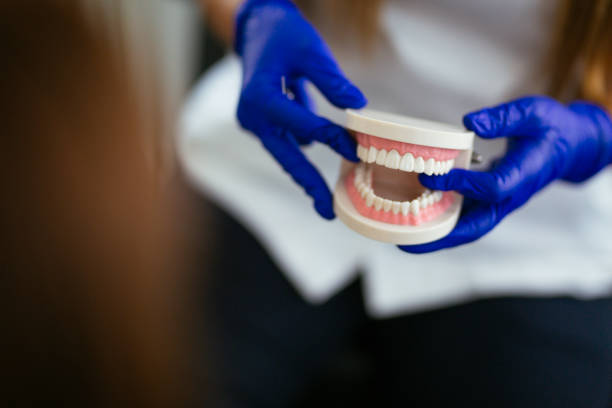 Best Root Canal Treatment  in Nroe City, MO