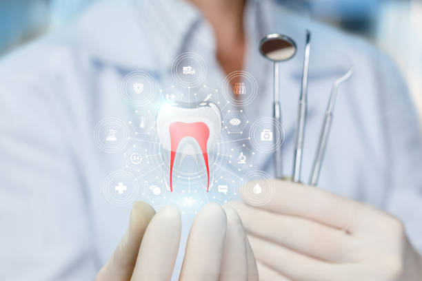 Monroe City, MO Holistic Dental Care Services Company